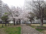 北大江公園