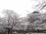 城北公園