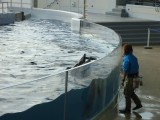 京都水族館