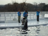 京都水族館