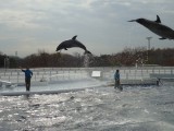 京都水族館
