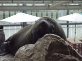 京都水族館