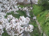 白川疏水