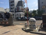 高知の朝市