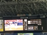 今日は鷹狩 !!