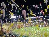 日本シリーズ観戦