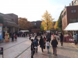 今日は京都工芸繊維大学の学園祭に