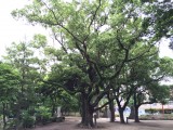 住吉神社