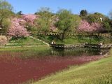 宇治市植物公園