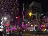 今日は守成クラブ