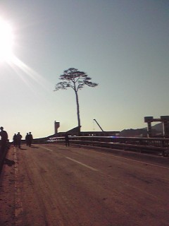 陸前高田