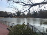 城北公園