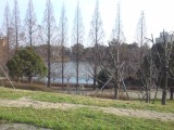 城北公園