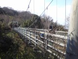 森の宝島への吊り橋