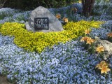 石たたみ敷きつめゆきて草植えぬ行幸の路となる知らすして