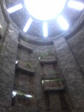 牧野植物園温室