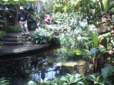 牧野植物園温室内