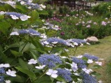 城北植物園
