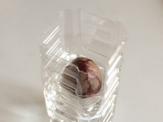 アボカド割れるっ !!