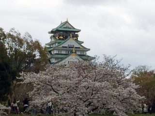 今日はお花見 ~ その 1 ~