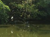 大安森林公園　～台湾 その 16 ～