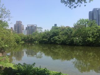 大安森林公園　～台湾 その 16 ～