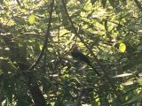 大安森林公園　～台湾 その 16 ～
