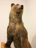 阿寒湖畔エコミュージアムセンター ~北海道 その 7 ~