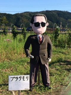亀岡・夢コスモス園