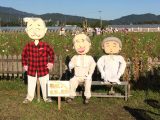 亀岡・夢コスモス園