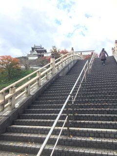昨日はいい夫婦の日　～その 2 ～