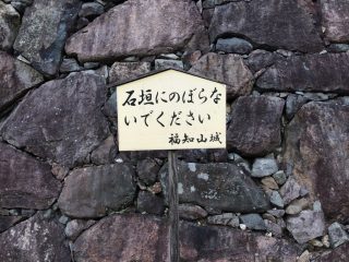 昨日はいい夫婦の日 ~その 3 ~