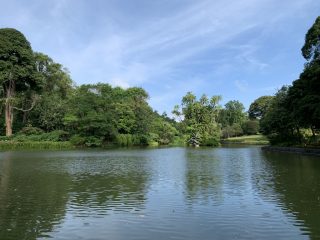シンガポールボタニックガーデンズ　～シンガポール その 19 ～
