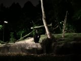 ナイトサファリを歩いて回る ~シンガポール その 27 ~