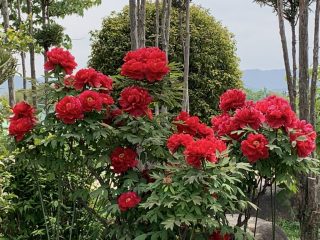 和泉リサイクル環境公園