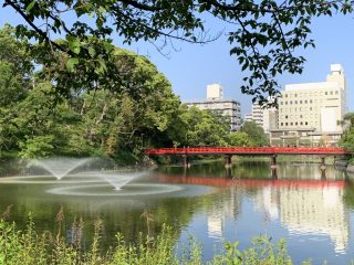 10 連休はいかにすごしたか? ~ GW 日記 その 8 ~