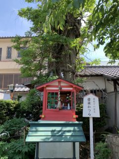 10 連休はいかにすごしたか? ~ GW 日記 その 12 ~