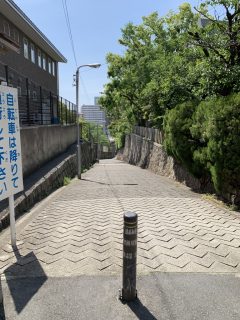 10 連休はいかにすごしたか? ~ GW 日記 その 12 ~