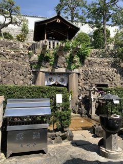 10 連休はいかにすごしたか？　～ GW 日記 その 13 ～