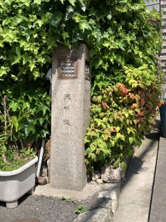 10 連休はいかにすごしたか? ~ GW 日記 その 14 ~