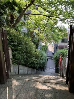 10 連休はいかにすごしたか? ~ GW 日記 その 14 ~