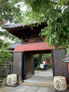 東光山長建寺から中書島へ　～ 伏見散策 その 6 ～