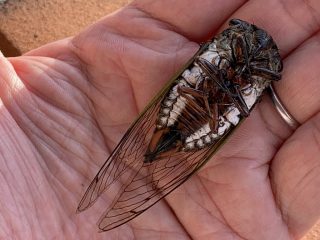そろそろ夏も終わりですかね