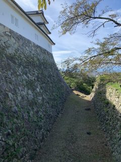 天守閣から楽々園へ彦根城めぐり ~彦根 その 6 ~