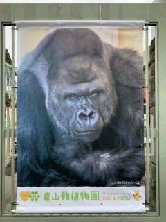 東山動植物園　～ 名古屋 その 7 ～