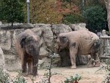 東山動植物園　～ 名古屋 その 7 ～