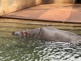 東山動植物園　～ 名古屋 その 7 ～
