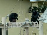 東山動植物園　～ 名古屋 その 7 ～