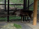 東山動植物園　～ 名古屋 その 7 ～