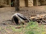 東山動植物園　～ 名古屋 その 7 ～